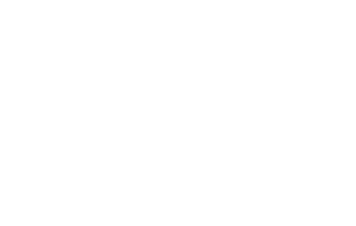 Horizon Home Care logo
