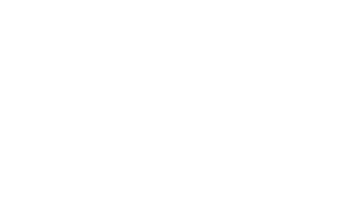 Horizon PACE logo